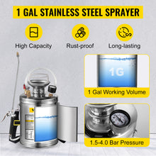 Load image into Gallery viewer, VEVOR 4-12L Hand Powered Stainless Steel Watering Spraying Sprinkling Atomizer Pump Home Sprayer