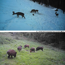 Load image into Gallery viewer, Mini Hunting infared Camera 20MP 1080P Motion Activated Scouting 0.2S Trigger Photo Trap