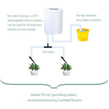 Load image into Gallery viewer, 8/4/2 Head Automatic Watering Pump Controller Flowers Plants Home Timer System Outdoor
