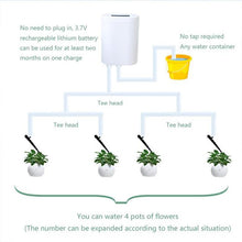 Load image into Gallery viewer, 8/4/2 Head Automatic Watering Pump Controller Flowers Plants Home Timer System Outdoor
