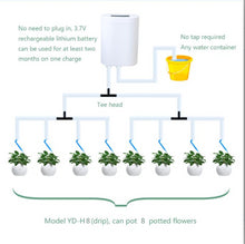 Load image into Gallery viewer, 8/4/2 Head Automatic Watering Pump Controller Flowers Plants Home Timer System Outdoor
