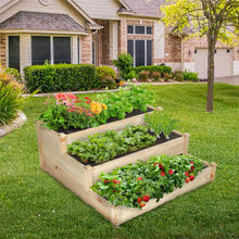 Load image into Gallery viewer, KINGSO 3 Tier Raised Garden Bed Outdoor Planter Box Wooden Vegetable/Flower/Herb Nursery
